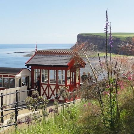 Saltburn Holidays Jasmine Cottage Saltburn Ngoại thất bức ảnh